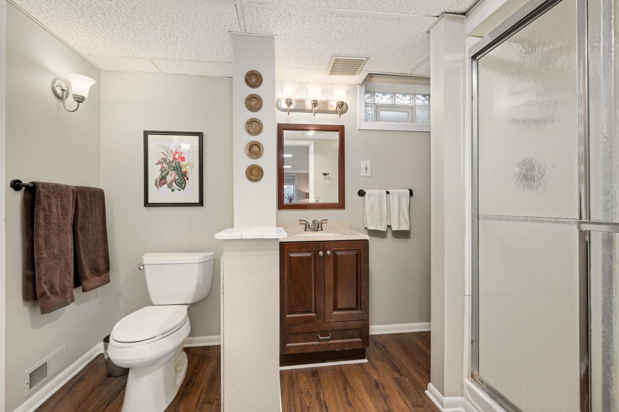 Basement Bathroom