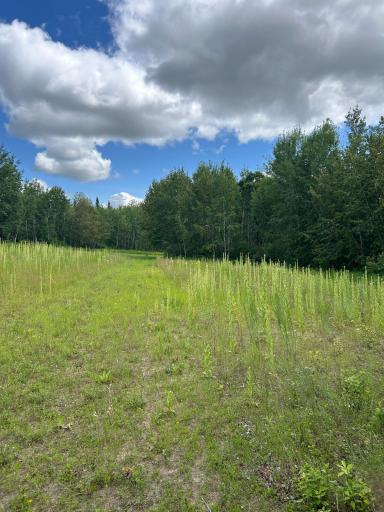 43475 310th Avenue NE, Gatzke, MN 56724