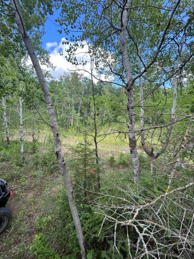 43475 310th Avenue NE, Gatzke, MN 56724