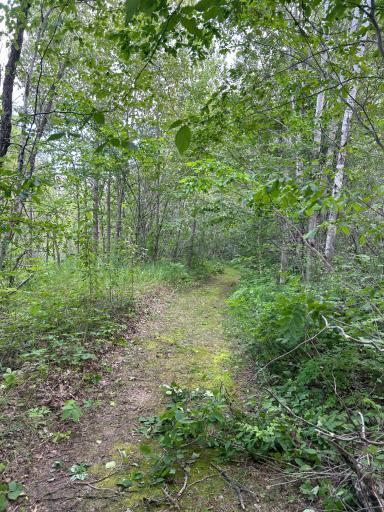 43475 310th Avenue NE, Gatzke, MN 56724