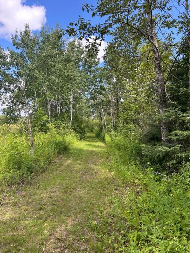 43475 310th Avenue NE, Gatzke, MN 56724