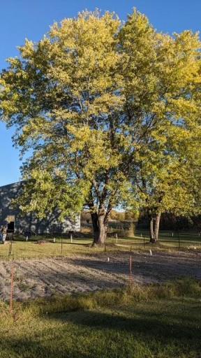43475 310th Avenue NE, Gatzke, MN 56724