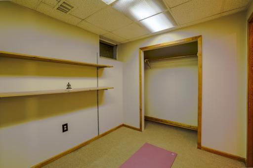 Lower-Level Bonus Room â Closet View â Additional angle shows open closet storage and built-in shelving. This versatile lower-level room offers practical expansion space for home office, fitness, or organized storage needs.