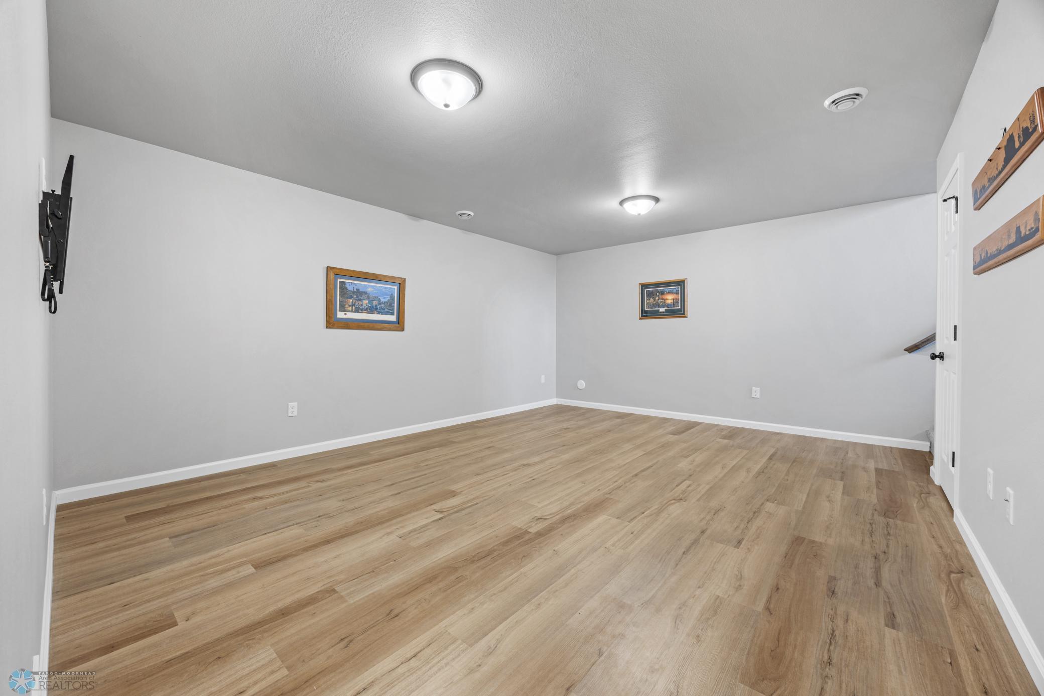 Lower family room
