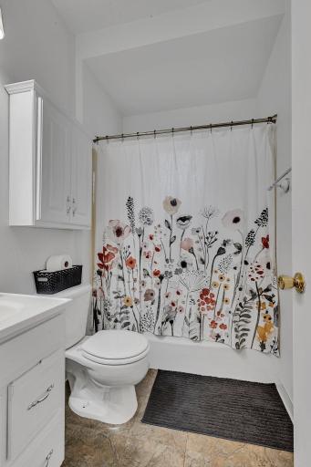 40 Park Street W, Annandale, MN 55302