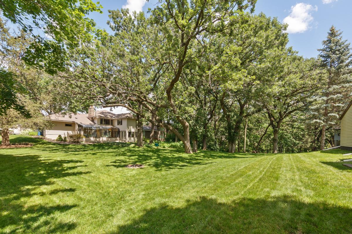Backyard.