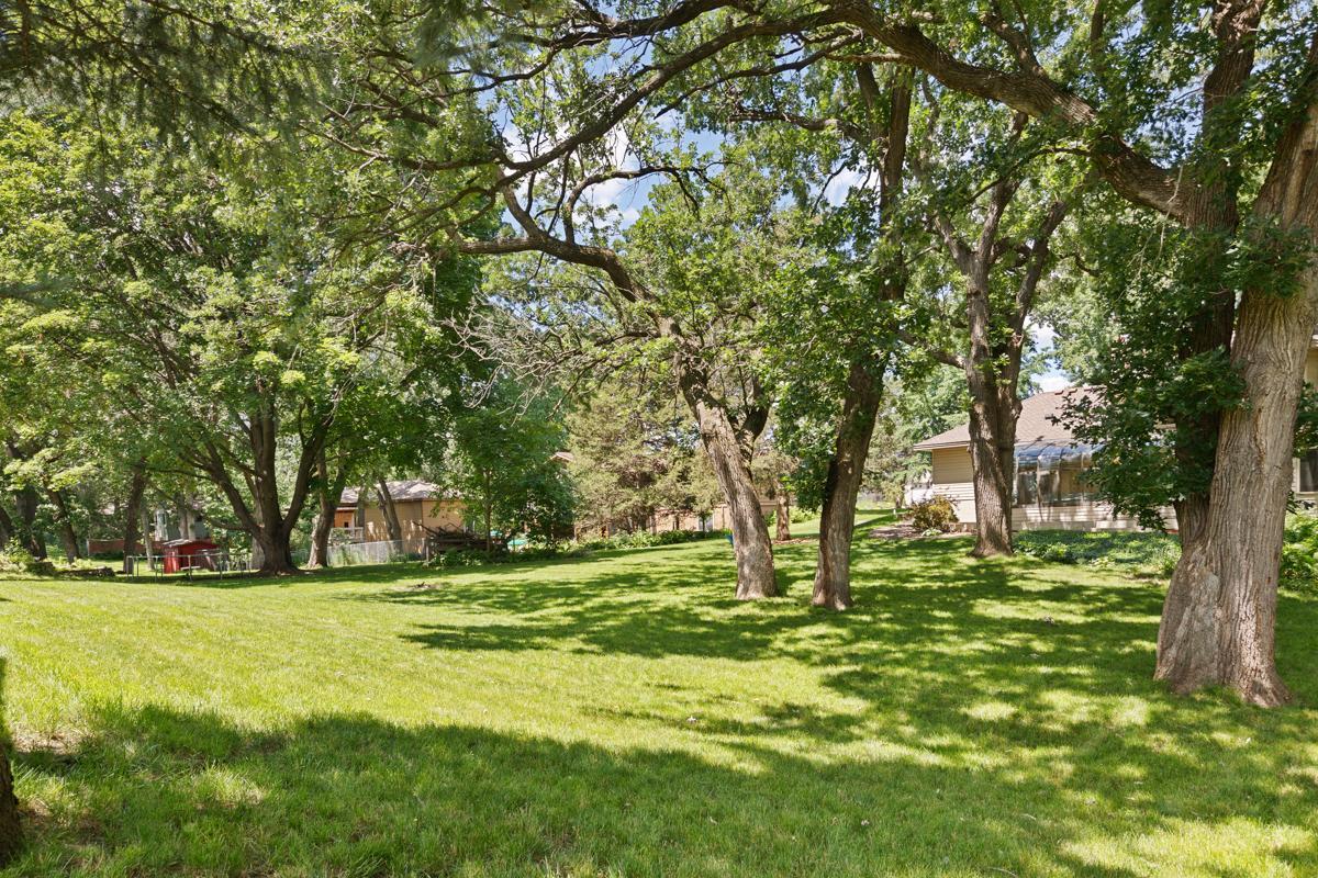 Backyard.