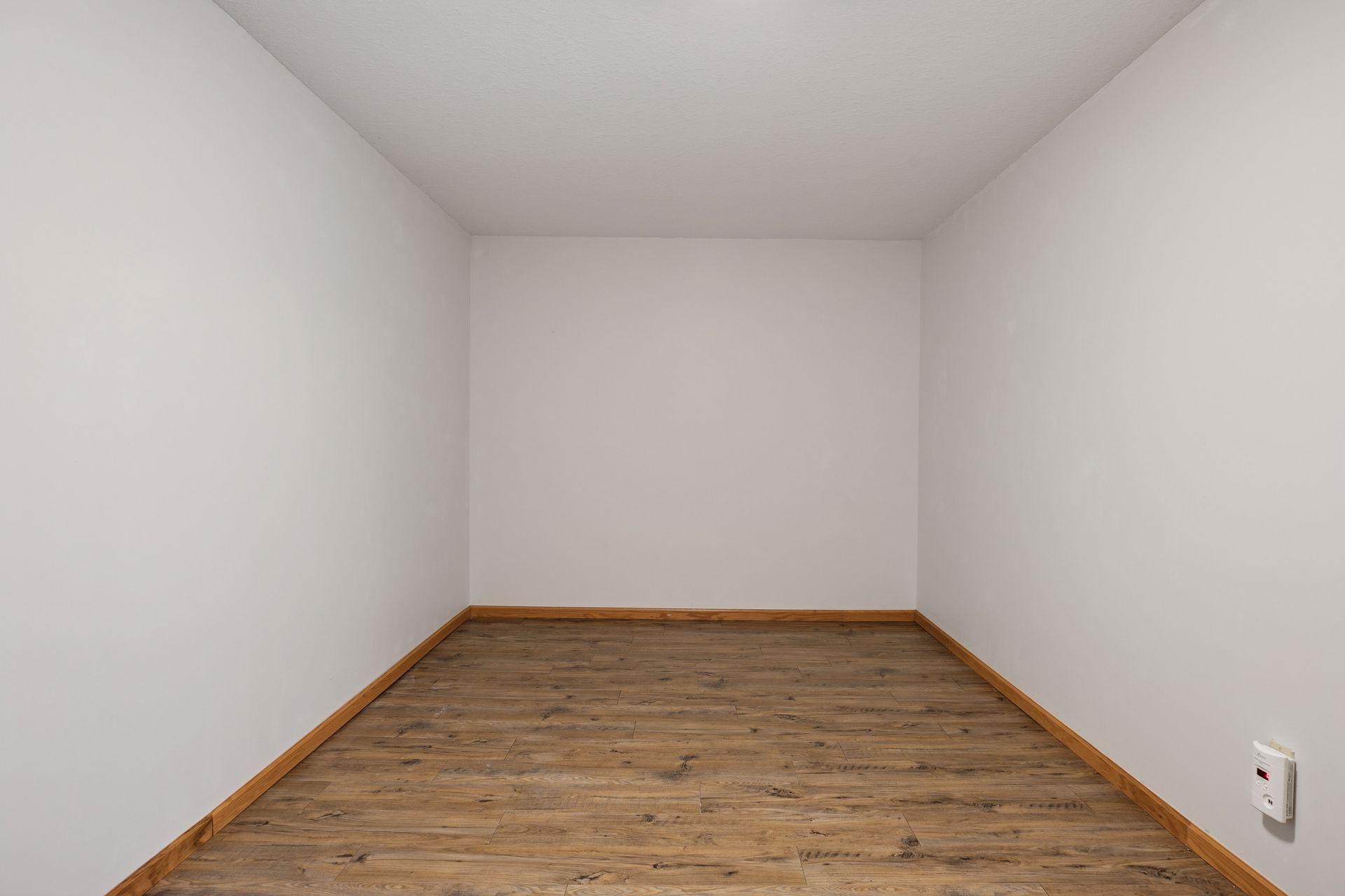 Flex room in lower level