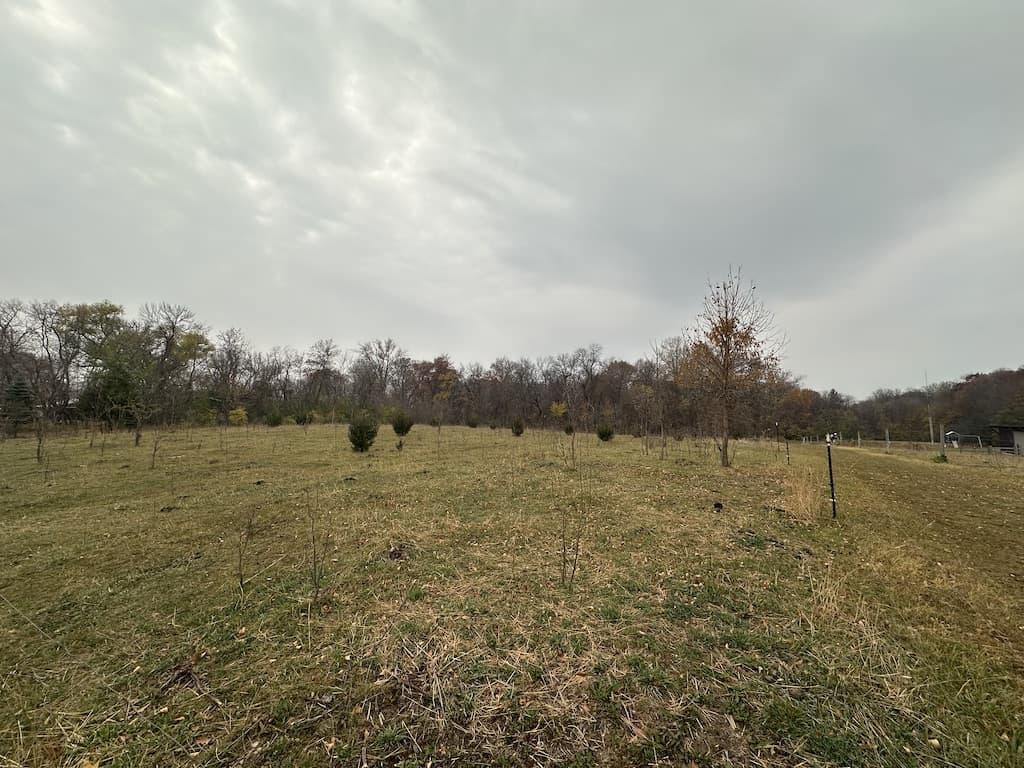 5 Acres!