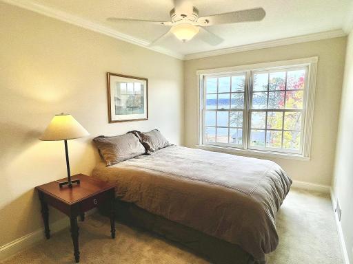 28589 Lake Avenue Way, Frontenac, MN 55026