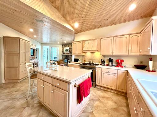 28589 Lake Avenue Way, Frontenac, MN 55026