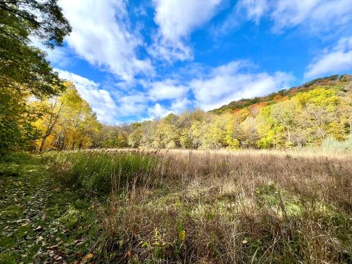 28589 Lake Avenue Way, Frontenac, MN 55026