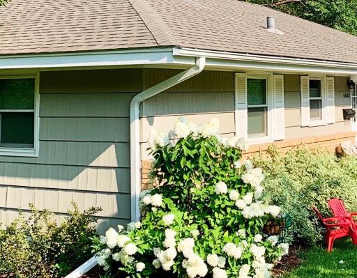 An earlier shot from the Sellerâs phone shows hydrangeas and dogwoods in bloomâtaken before the home was painted. Many of these same plants are blooming again now!