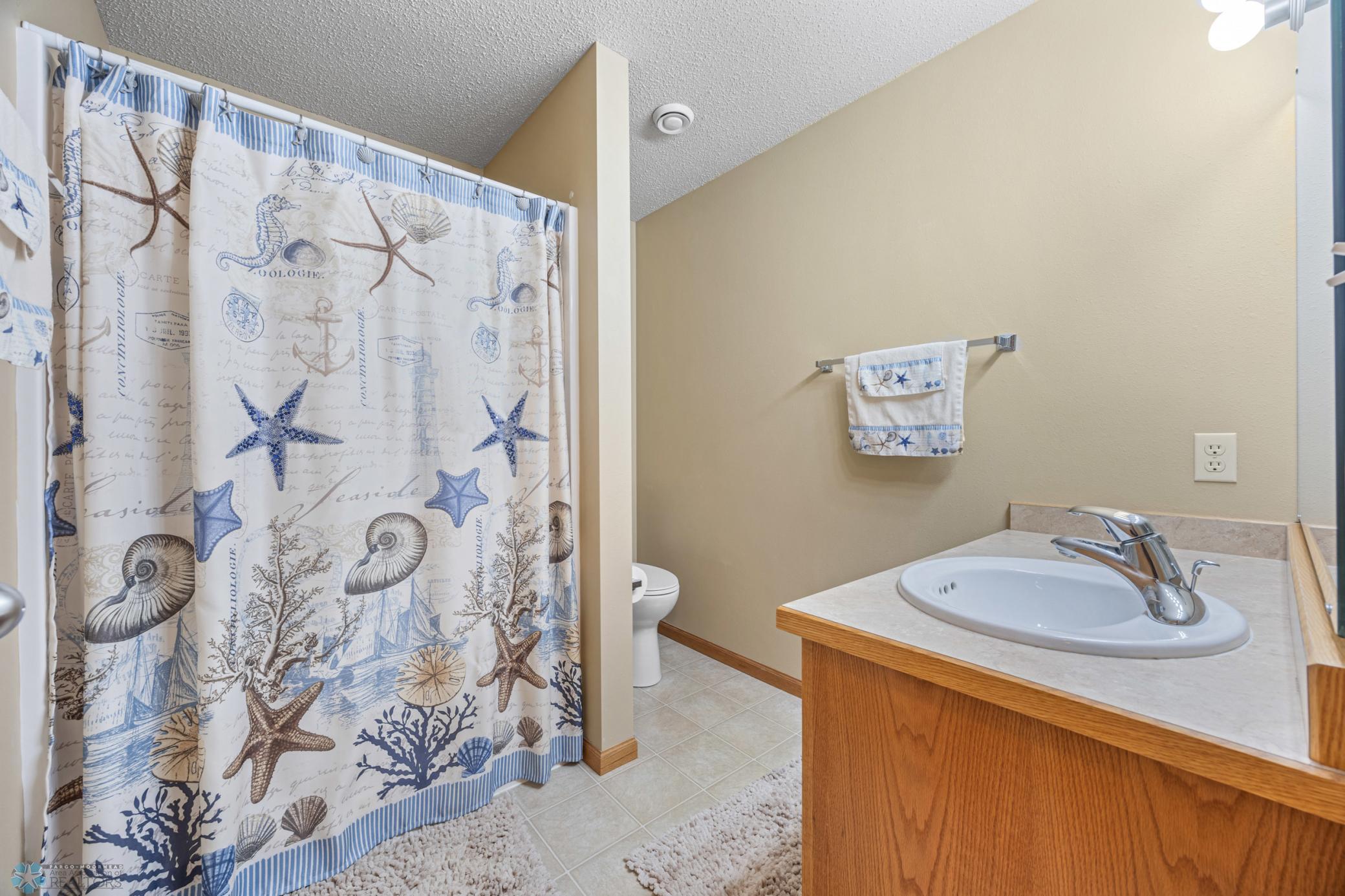Lower Level Bath