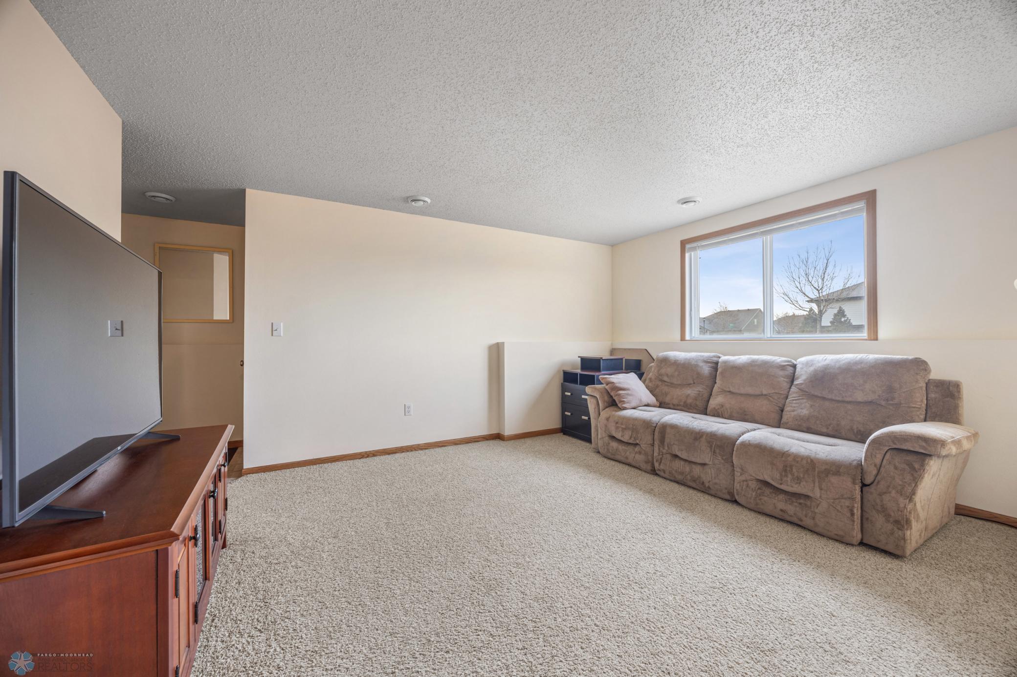 Lower Level Family Room
