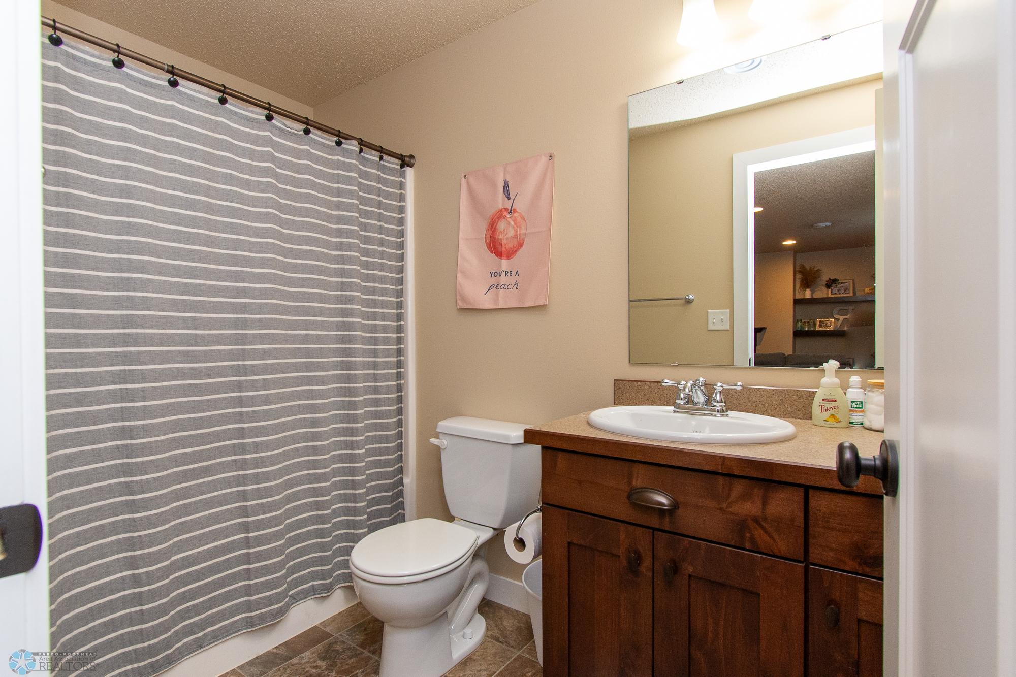 Basement Bathroom