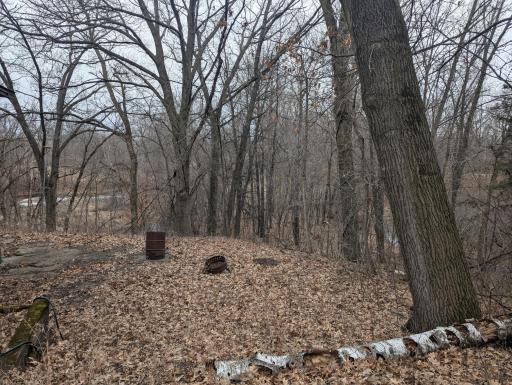 Back yard that drops to a creek and pond