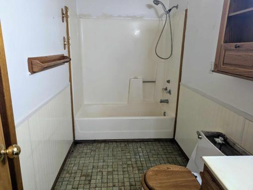 Lower level bathroom