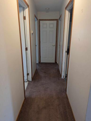 Main level hallway - 3 bedrooms, bathroom and hall closet