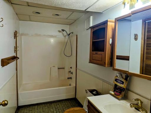 Lower level bathroom
