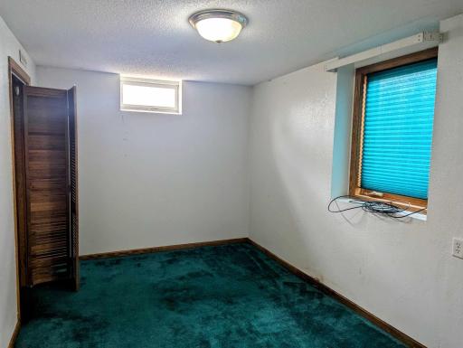 Lower level bedroom