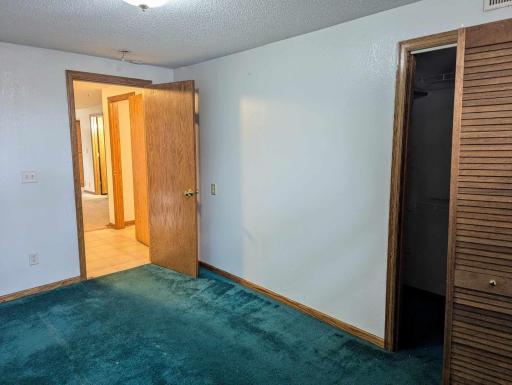 Lower level bedroom