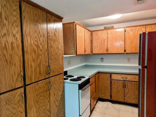 Lower level kitchenette