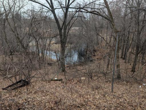 View of the pond behind house