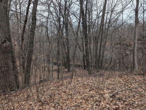 view of the side of the property