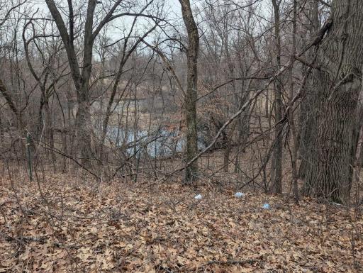 pond on back side of property
