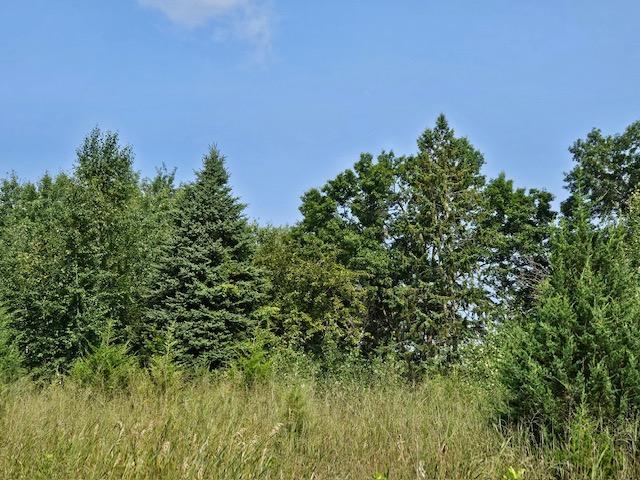 Johnson Lot 2.jpg