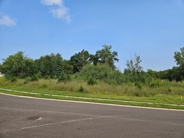 Johnson Lot 1.jpg