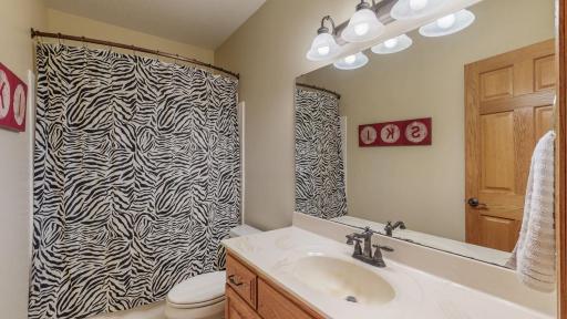 435 Donegal Lane SE, Chatfield, MN 55923