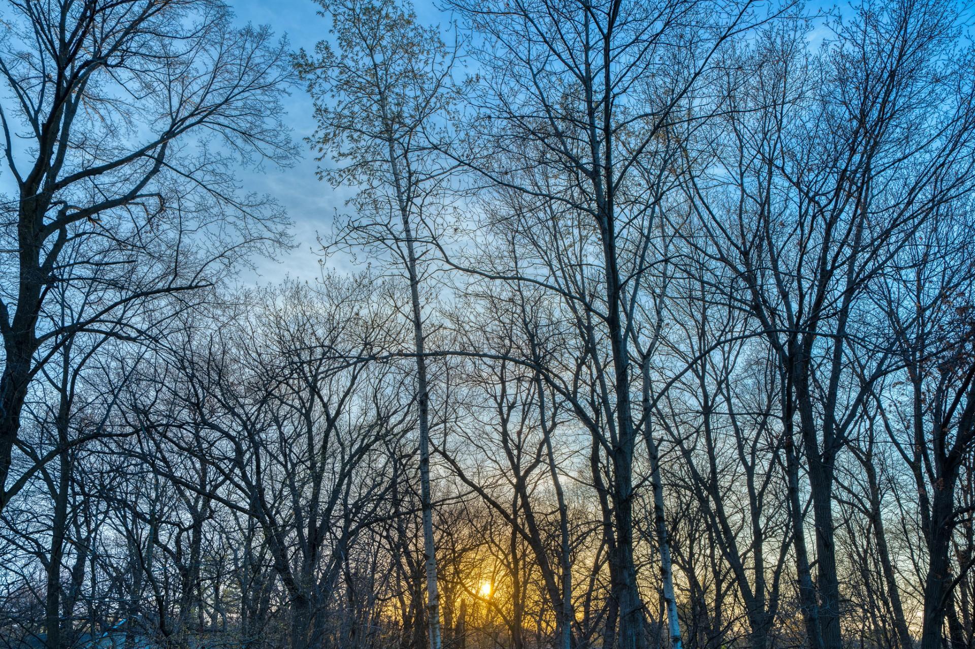 View from your deck!