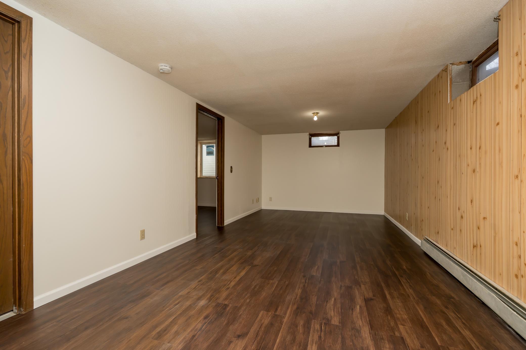 Lower level living area