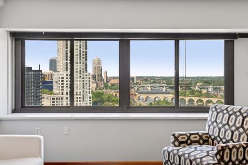 1920 S 1st Street, 1502, Minneapolis, MN 55454