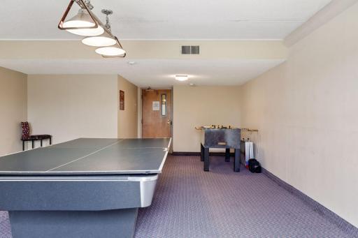 1920 S 1st Street, 1502, Minneapolis, MN 55454