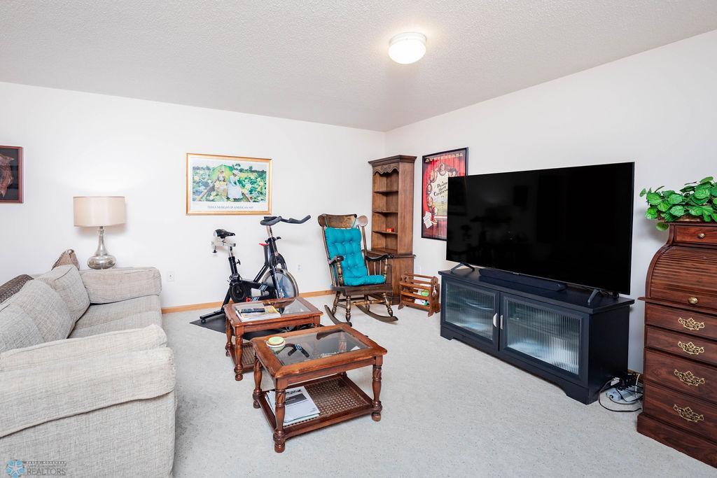 Family Room - Lower
