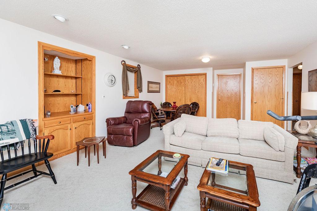 Family Room - Lower