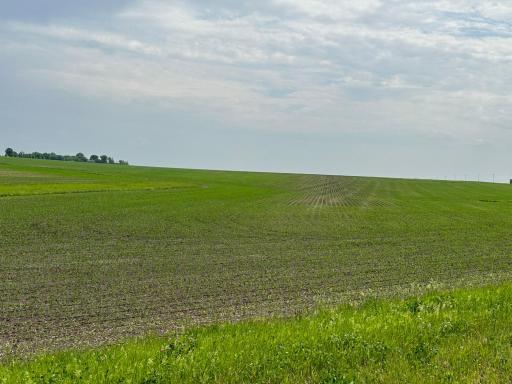 Stewartville, MN 55936