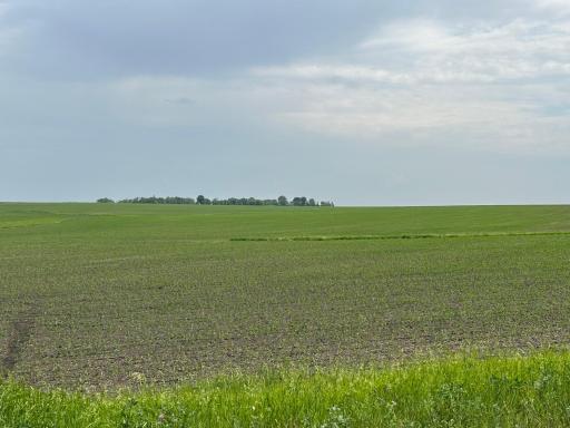 Stewartville, MN 55936