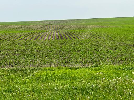 Stewartville, MN 55936