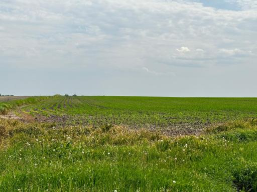 Stewartville, MN 55936