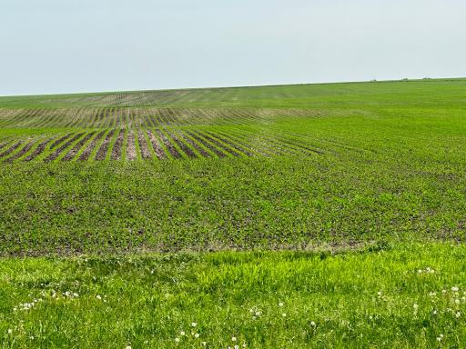 Stewartville, MN 55936