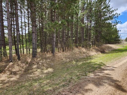 xxx Goldfinch Circle NE, Miltona, MN 56354