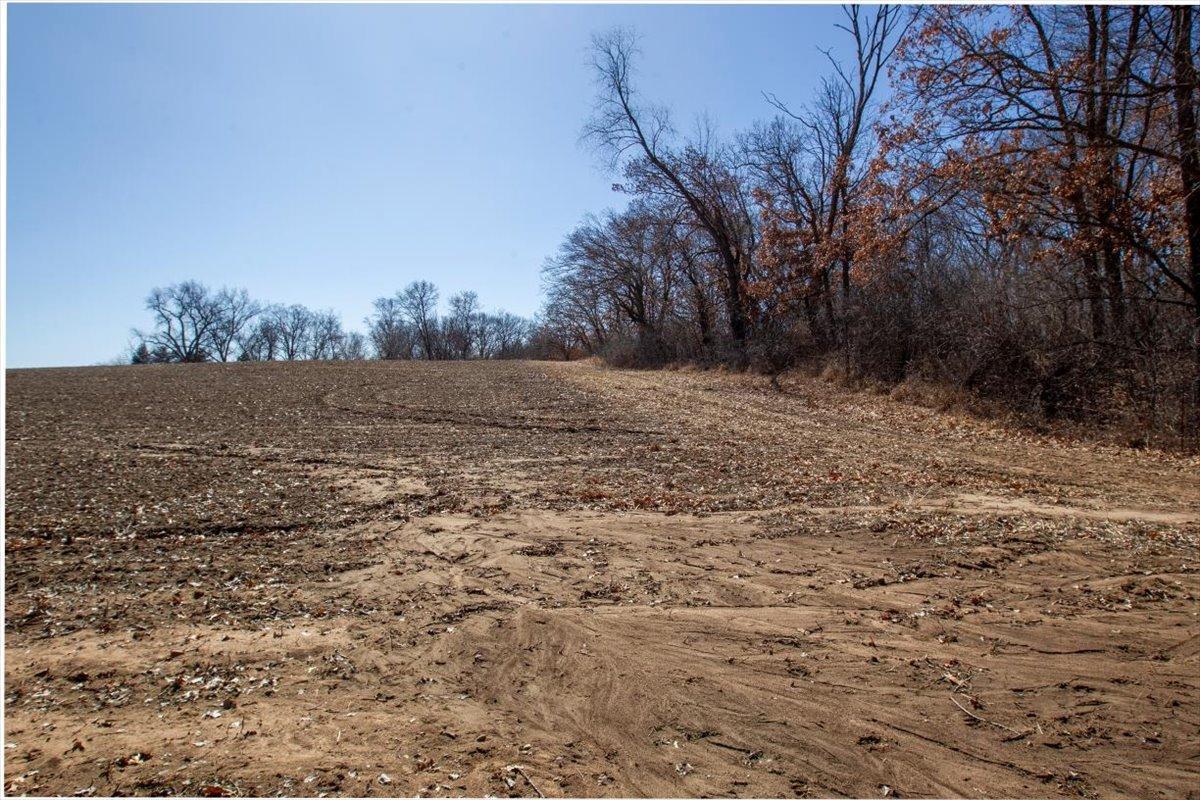 27-Big Carnelian image-27.jpg