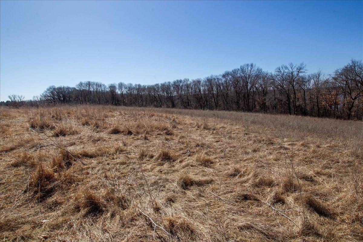 41-Big Carnelian image-41.jpg