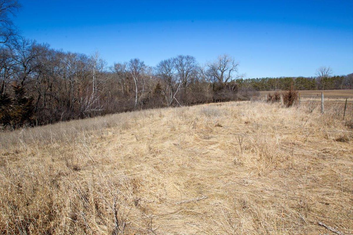 43-Big Carnelian image-43.jpg