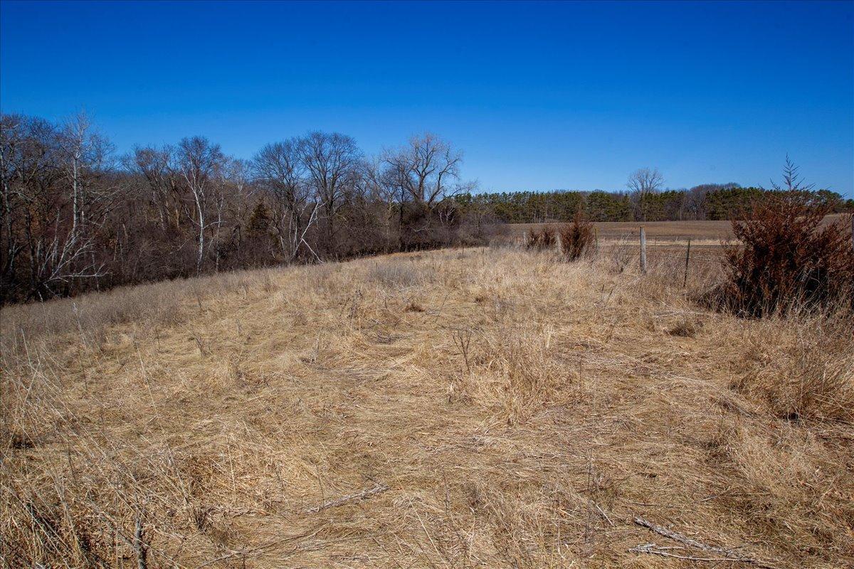 44-Big Carnelian image-44.jpg