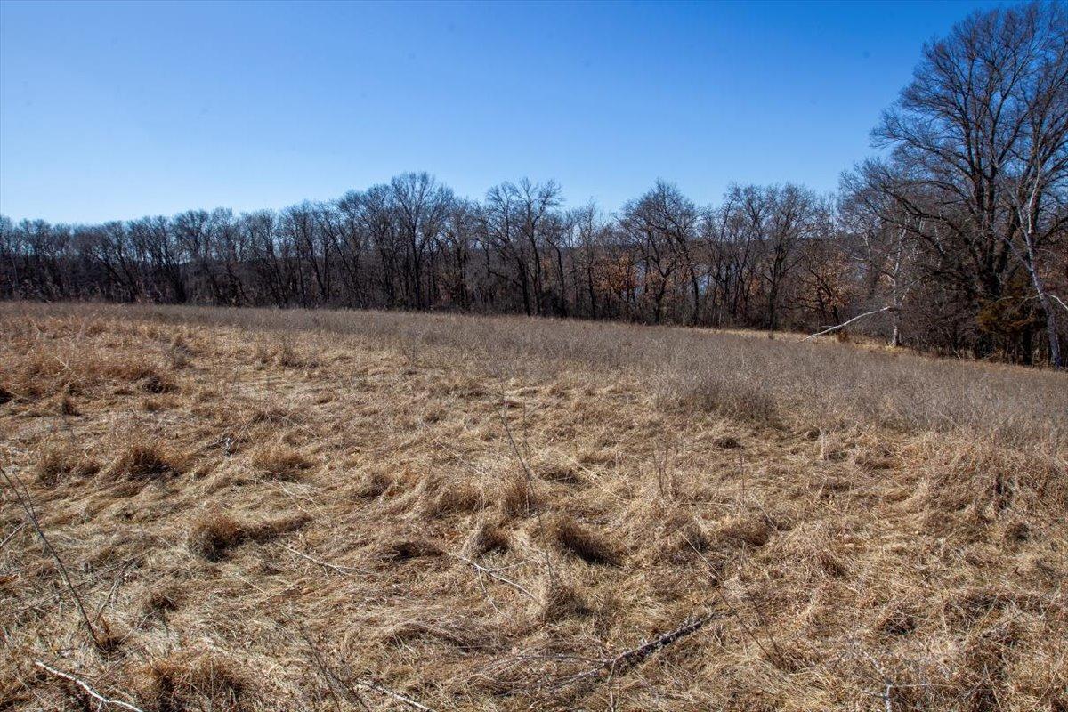 42-Big Carnelian image-42.jpg